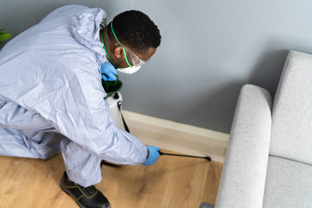 Best Real Estate Pest Inspections  in Suwanee, GA